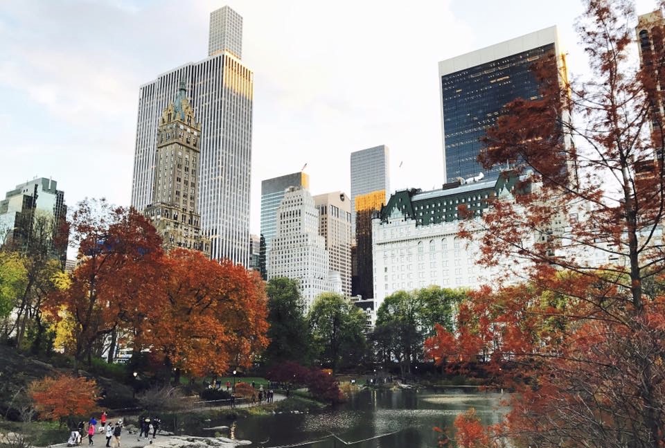 Central Park